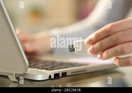 Primo piano delle mani di una donna che tiene l'unità flash usb accanto al computer portatile su una scrivania a casa Foto Stock