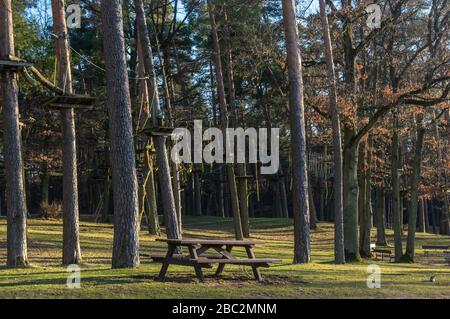 Giardino di arrampicata, alta corda corso nella foresta con vari elementi di arrampicata e corde di sicurezza tra i singoli alberi e panchine per riposare Foto Stock