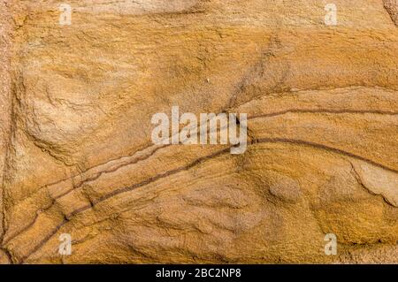 Pareti in arenaria, arenaria con motivi artistici che schiudono forme simili a rilievo sulla superficie, colpo di dettaglio Foto Stock