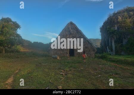 Granaio per l'essiccazione del tabacco, Viñales, Cuba Foto Stock