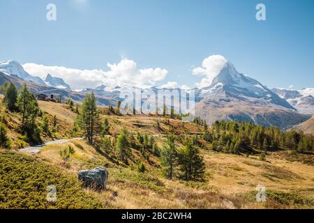 Bella strada sul prato con alberi vicino Matternhorn in alpi svizzere montagne vicino a Zermatt città Foto Stock