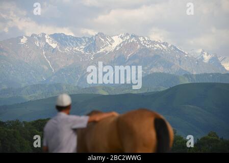 Uomo e cavallo che guardano le montagne in lontananza. Concentrati sulle montagne, girato da dietro. Foto Stock