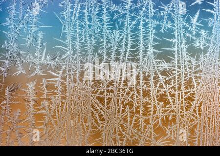 Cristalli di gelo che crescono su un vetro della finestra dopo una notte frigid, Michigan centrale, Stati Uniti Foto Stock