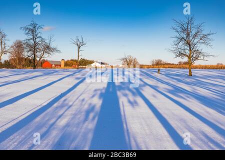 Ombre lunghe alla fine della giornata che attraversa un campo agricolo Amish nel centro del Michigan, Stati Uniti [Nessun rilascio di proprietà; disponibile solo per le licenze editoriali] Foto Stock