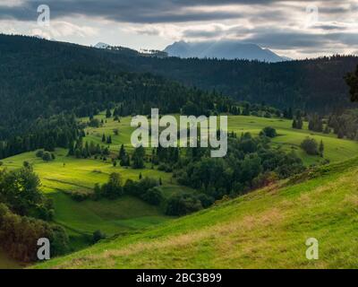 Estate a Spisz in Polonia e Slovacchia con vista sui Monti Tatra. Foto Stock