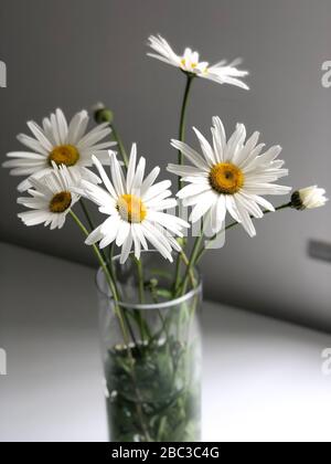 Chiudete i fiori in un vaso di vetro in ufficio. Foto Stock