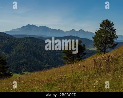 Bellissimo panorama estivo sull'altopiano di Spisz fino alle montagne di Tatra, Polonia Foto Stock
