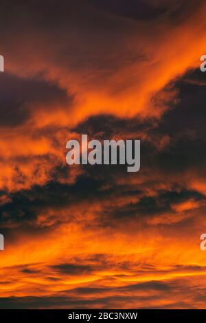 Nuvole temporalesche al tramonto. Foto Stock