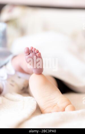 Primo piano del piede di un neonato e di un bambino di un anno. Piedi di neonati di età diversa che dormono. Piede di un neonato sopra il piede di un altro Foto Stock