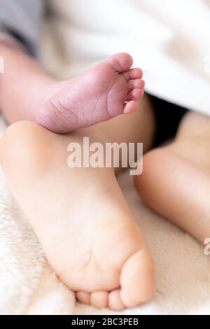 Primo piano del piede di un neonato e di un bambino di un anno. Piedi di neonati di età diversa che dormono. Piede di un neonato sopra il piede di un altro Foto Stock