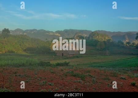 Tabacchicoltura e mogotes, Viñales, Cuba Foto Stock