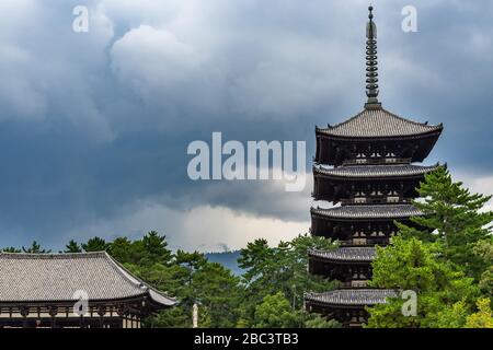 Vista della pagoda a cinque piani del Tempio di Kofukuji a Nara. È la seconda pagoda in legno più alta del Giappone (50 m.) Foto Stock