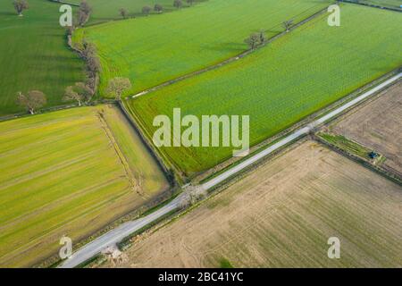 Fresh green Farming fields of Shropshire in United Kingdom - punto di vista drone Foto Stock