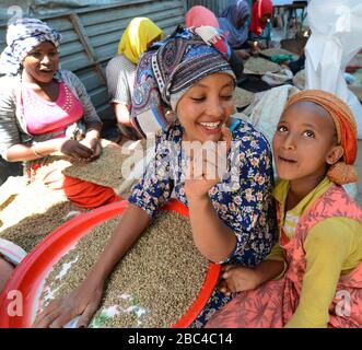 Donne etiopi che smistano i chicchi di caffè crudi nel mercato all'ingrosso di mercato ad Addis Abeba, Etiopia. Foto Stock