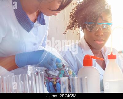 Studenti africani di medicina, scienziati, giovani donne che lavorano in laboratorio di ricerca, laboratorio di test medici. Controllo di qualità di varie sostanze. Laboratorio Foto Stock