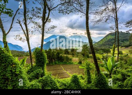 Nel tardo pomeriggio negli altopiani del Guatemala sopra il lago Atitlan. Foto Stock