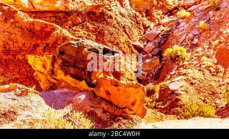 L'erosione ha modellato questa formazione rocciosa come un'auto lungo il sentiero Toadstool tra Page, Arizona An Kanab, Utah in Grand Staircase-Escalante Monument Foto Stock