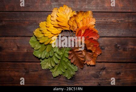 Foglie d'autunno d'epoca cadute sul vecchio tavolo di legno Foto Stock
