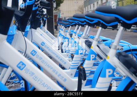 Shenzhen, Cina: Nuovo Ciao biciclette sulla strada, si può guidare senza un deposito Foto Stock