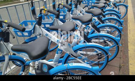 Shenzhen, Cina: Nuovo Ciao biciclette sulla strada, si può guidare senza un deposito Foto Stock