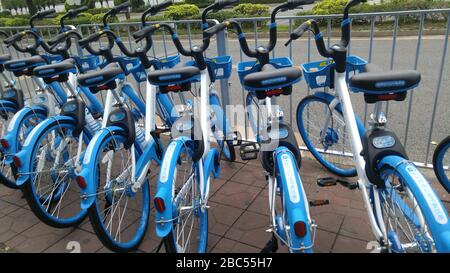 Shenzhen, Cina: Nuovo Ciao biciclette sulla strada, si può guidare senza un deposito Foto Stock