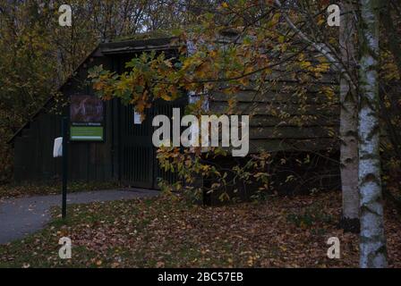 Wooden Hut Wildside al Wetland Centre, Queen Elizabeth's Walk, Barnes, Richmond, London, SW13 9WT Foto Stock