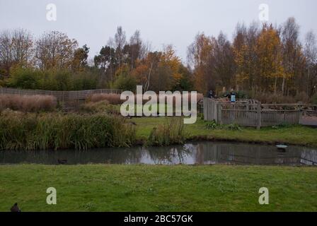 Lake Pond nel Wetland Centre, Queen Elizabeth's Walk, Barnes, Richmond, Londra, SW13 9WT Foto Stock