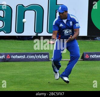 Il Samit Patel dell'Inghilterra cade un catch fuori dal David Warner dell'Australia Foto Stock