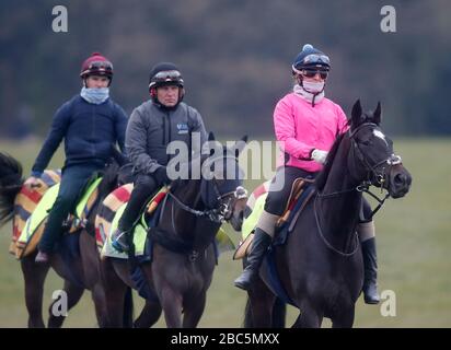 Cavalca i cavalli sul galoppo a Newmarket, Suffolk durante il blocco dei coronavirus Foto Stock