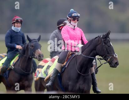 Cavalca i cavalli sul galoppo a Newmarket, Suffolk durante il blocco dei coronavirus Foto Stock