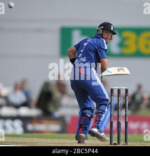 Ian Bell dell'Inghilterra in azione Foto Stock