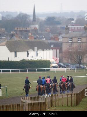 Cavalca i cavalli sul galoppo a Newmarket, Suffolk durante il blocco dei coronavirus Foto Stock