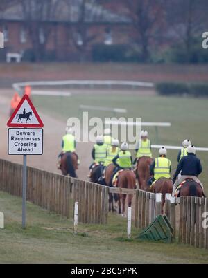 Cavalca i cavalli sul galoppo a Newmarket, Suffolk durante il blocco dei coronavirus Foto Stock