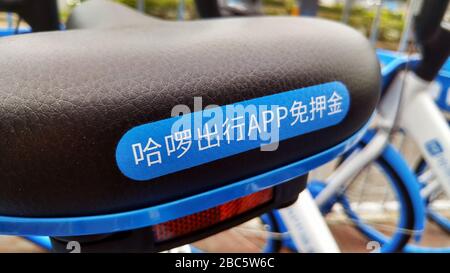 Shenzhen, Cina: Nuovo Ciao biciclette sulla strada, si può guidare senza un deposito Foto Stock