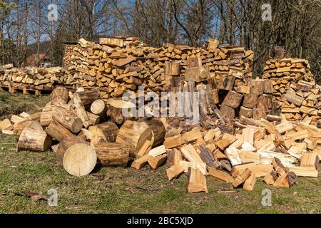 Carburante ecologico. Legno di palo. Pile di legna da ardere. Preparazione legna da ardere per l'inverno. Foto Stock