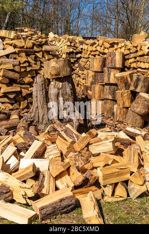 Carburante ecologico. Legno di palo. Pile di legna da ardere. Preparazione legna da ardere per l'inverno. Foto Stock