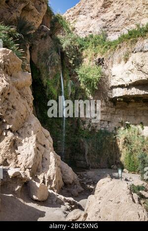 Ein Gedi National Park nel sud di Israele, durante l'inverno Foto Stock