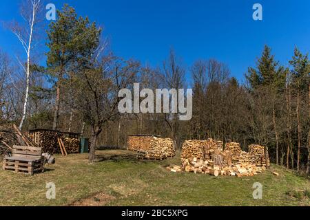 Carburante ecologico. Legno di palo. Pile di legna da ardere. Preparazione legna da ardere per l'inverno. Foto Stock
