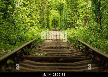 La vera meraviglia naturale Tunnel di Amore creato da alberi forestali lungo la ferrovia in Ucraina, Klevan. Foto Stock