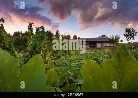 Vecchia casa nel giardino con le nuvole drammatiche Foto Stock