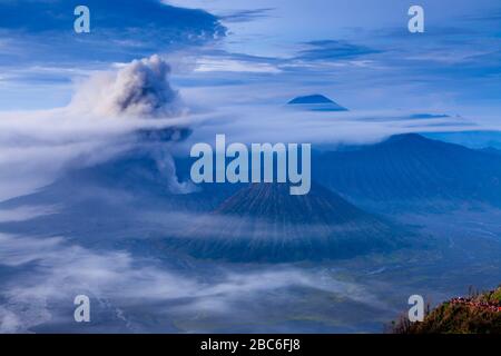 Una vista elevata del Monte bromo, del Monte Batok e del Parco Nazionale del bromo Tengger Semeru, Giava, Indonesia. Foto Stock