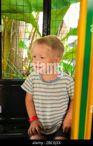 Un bambino di tre anni fa si muove in un trenino verde-giallo per bambini in un parco divertimenti in Riviera, Sochi, di fronte allo spettatore. Riposo, tropici, riposo, attivazione. Foto verticale Foto Stock