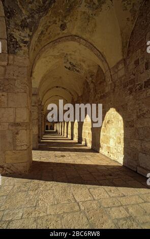 Israele, Gerusalemme, città vecchia, al Monte del Tempio Foto Stock