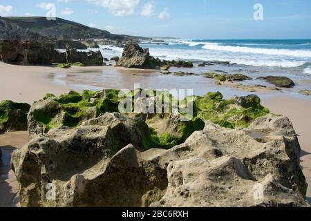 Linea costiera tra Porto Covo e Vila Nova de Milfontes, Costa occidentale portoghese Foto Stock