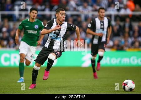 Miguel Almiron di Newcastle United - Newcastle United / Brighton & Hove Albion, Premier League, St James' Park, Newcastle upon Tyne, UK - 21st Settembre 2019 solo per uso editoriale - si applicano le restrizioni di DataCo Foto Stock