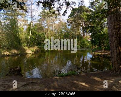 Mary Forsdyke Garden & Michael o'Brien Lakeside Walk, Bushey Heath, Inghilterra. Abbandonato durante il blocco di Coronavirus. Lo spazio pubblico è ricco di natura Foto Stock