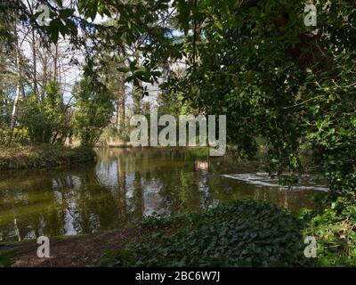 Mary Forsdyke Garden & Michael o'Brien Lakeside Walk, Bushey Heath, Inghilterra. Abbandonato durante il blocco di Coronavirus. Lo spazio pubblico è ricco di natura Foto Stock