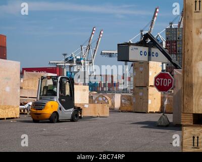 Spedizione di casse da carico presso il terminal dei container CTT Tollerort e presso il centro di imballaggio dei container DCP nel porto di Amburgo, Germania. Foto Stock