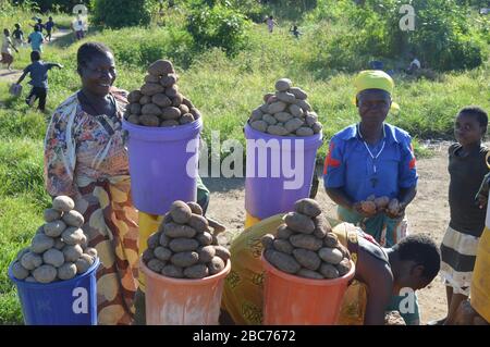 LILONGWE, MALAWI, AFRICA - 25 MARZO 2018: Le donne africane sorridono e vendono potatos e i bambini corrono via. Atmosfera felice, porpl luminoso Foto Stock