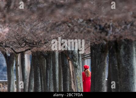 Dresda, Germania. 03rd Apr, 2020. Una donna cammina tra gli alberi nel giardino del Palazzo Giapponese sulle rive dell'Elba. Credito: Robert Michael/dpa-Zentralbild/ZB/dpa/Alamy Live News Foto Stock